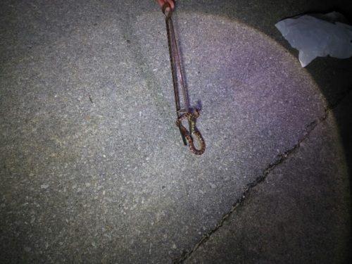 3日・GW1日目!夜探検でアカマタげっとん!