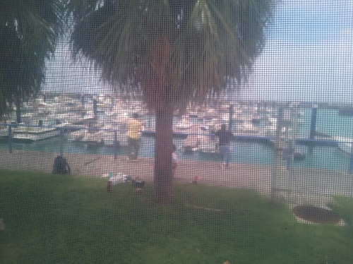 11日・夜の海に潜ってきました!