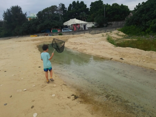 4日・花人逢で大発見!