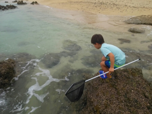 4日・花人逢で大発見!