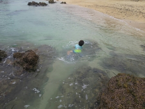 4日・花人逢で大発見!