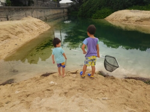 4日・花人逢で大発見!