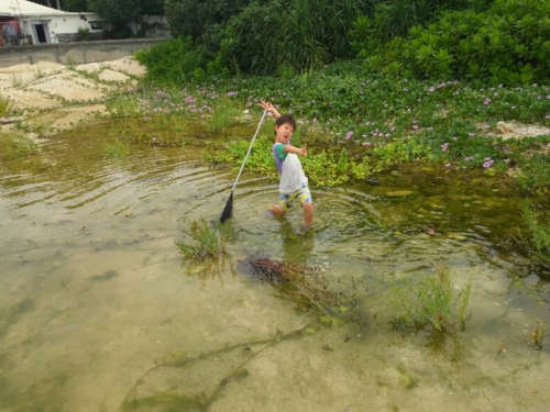 4日・花人逢で大発見!