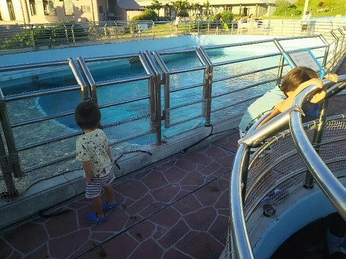 1日・ジム復帰からの美ら海!