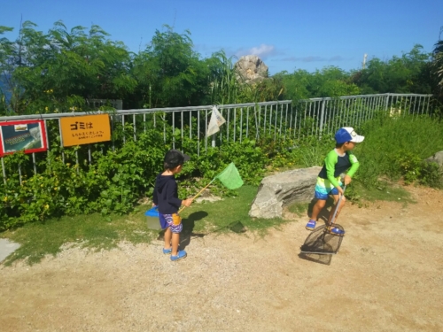 2日・ゴリラチョップでシュノーケルは凄過ぎた!