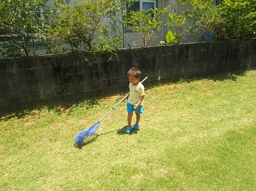 5日・夜海素潜りでイカげっとん!