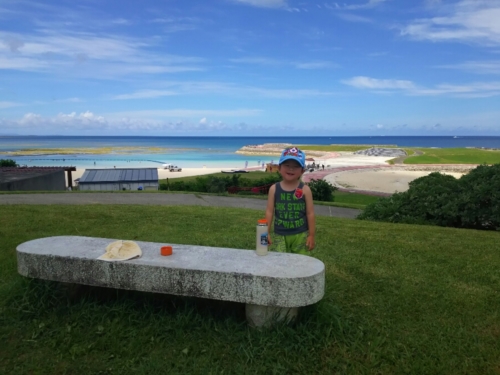 7日・初めての自転車からの給食試食会!