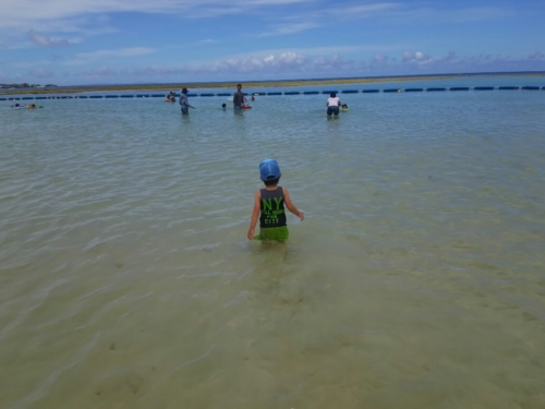 7日・初めての自転車からの給食試食会!