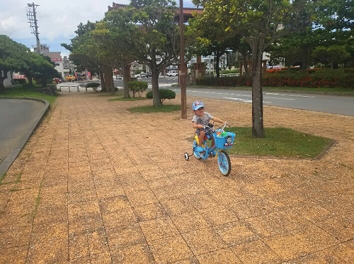 13日・長男がダウン!