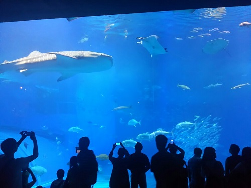 6日・ぎのわんシーパーティとライカムと。