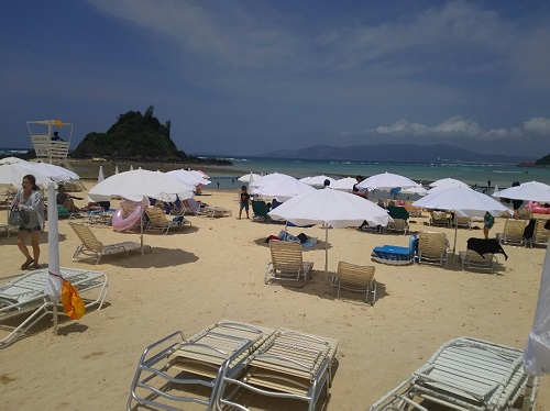 8日・内地からのお客様!