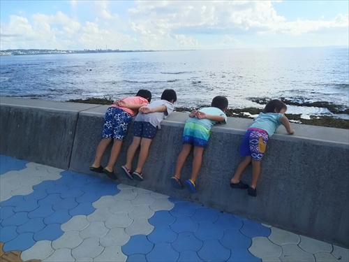 25日・従兄弟と砂辺でシュノーケル!