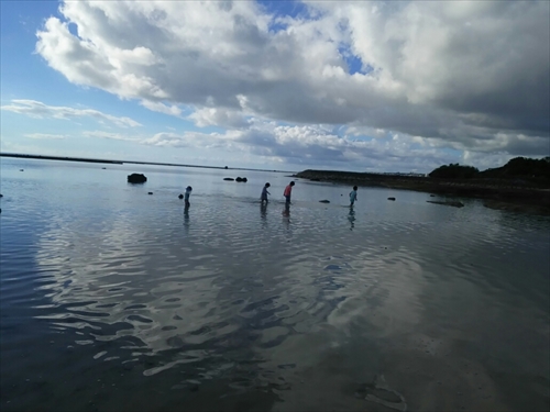 25日・従兄弟と砂辺でシュノーケル!