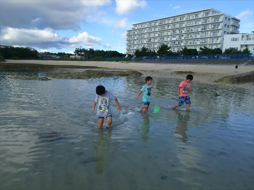 25日・従兄弟と砂辺でシュノーケル!