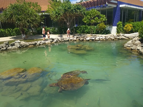 28日・ベルパライソに宿泊して北部観光&ウッパマビーチ!