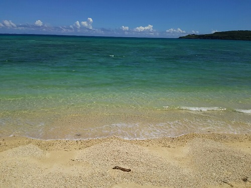 29日・従兄弟が帰っちゃった!