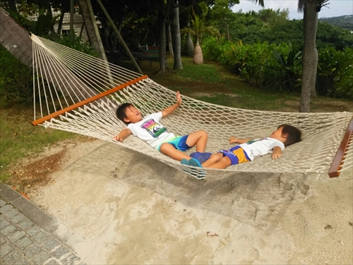 5日・ルネッサンスの海には魚がいっぱい!