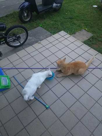 15日・台風は過ぎ去ったけど