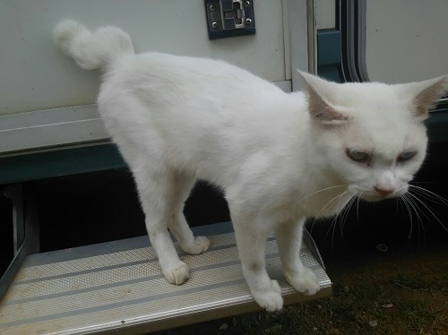 19日・ピンクのおじさん!