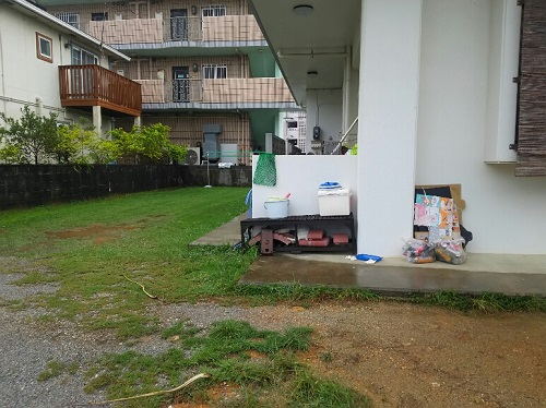 20日・昨晩の魚をニャーコに!