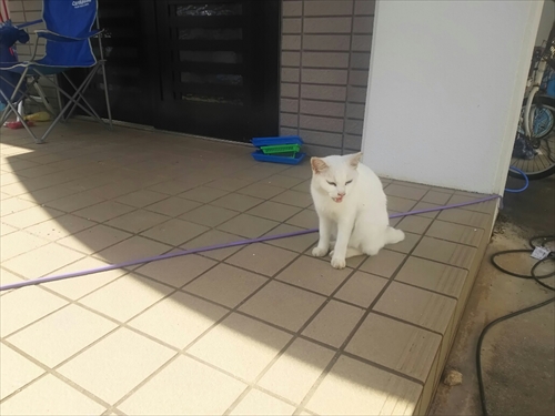 22日・沖縄はスコールが多い!