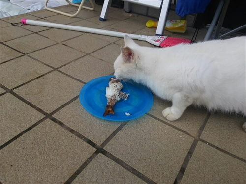 22日・沖縄はスコールが多い!