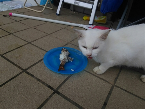 22日・沖縄はスコールが多い!