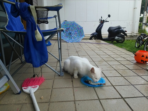 22日・沖縄はスコールが多い!