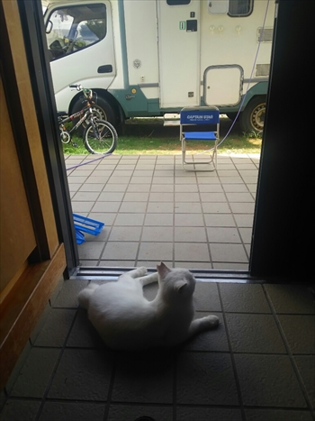 24日・ルネッサンスとガリバー