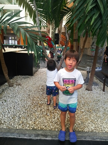 24日・ルネッサンスとガリバー