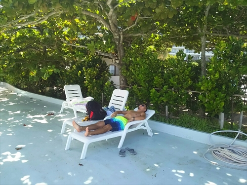 24日・ルネッサンスとガリバー