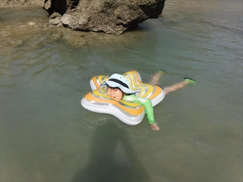 25日・超猛毒のオニダルマオコゼを捕まえて食べました!