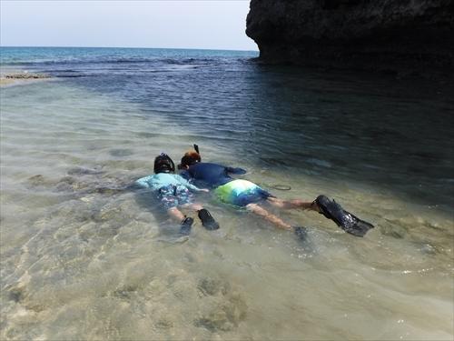 25日・超猛毒のオニダルマオコゼを捕まえて食べました!