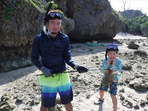 25日・超猛毒のオニダルマオコゼを捕まえて食べました!