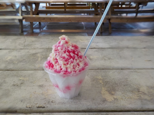 4日・GW2日目!伊江島の海を満喫しまくった日!