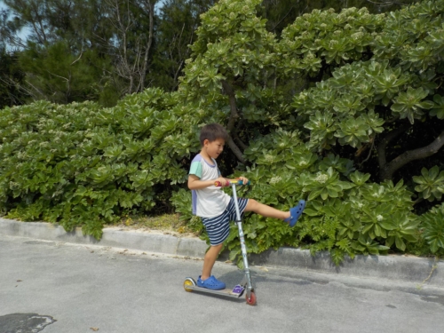 5日・GW3日目!伊江島で読者さんにお会いしました!