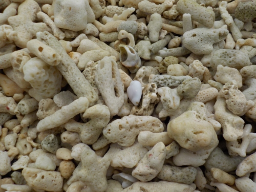 5日・GW3日目!伊江島で読者さんにお会いしました!