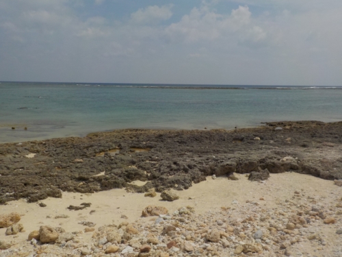 19日・大度浜海岸でシュノーケル!