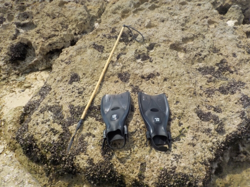 19日・大度浜海岸でシュノーケル!