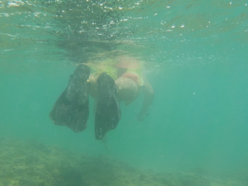 19日・大度浜海岸でシュノーケル!