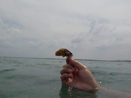 19日・大度浜海岸でシュノーケル!