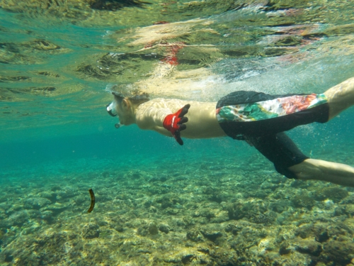 30日・真栄田岬の青の洞窟でシュノーケル!