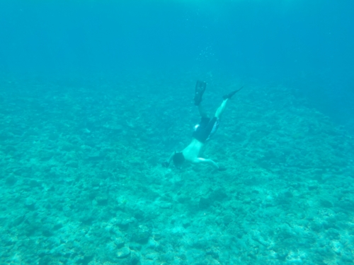 30日・真栄田岬の青の洞窟でシュノーケル!