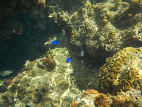 30日・真栄田岬の青の洞窟でシュノーケル!