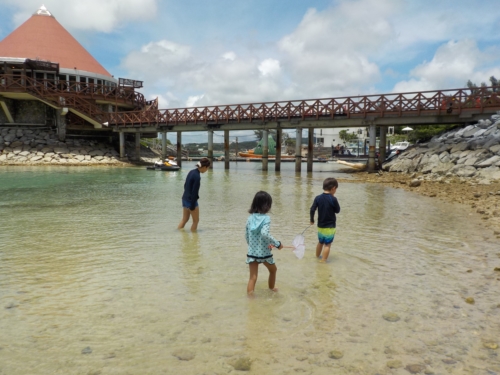 23日・沖縄慰霊の日はルネッサンスのプールです!