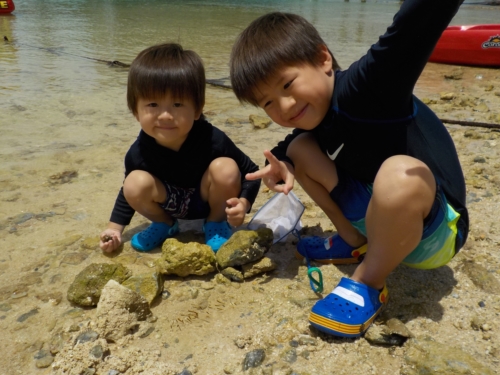 23日・沖縄慰霊の日はルネッサンスのプールです!