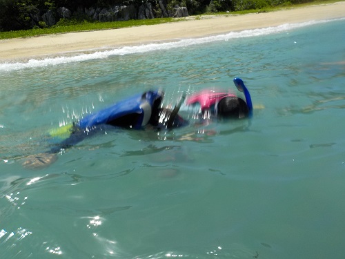 25日・海三連チャンでシュノーケルと釣り!