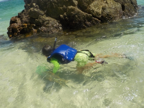 2日・ゴリラチョップでシュノーケルは凄過ぎた!