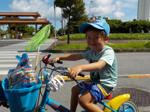 11日・朝海散歩!