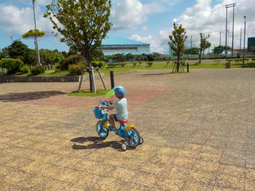 11日・朝海散歩!